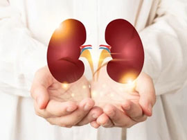 Nephrologist & Transplant Physician in Nagpur