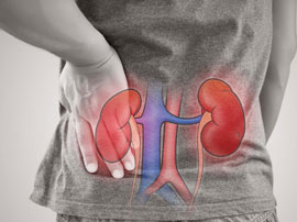 Nephrologist & Transplant Physician in Nagpur