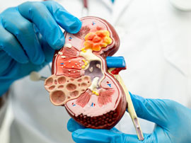 Nephrologist & Transplant Physician in Nagpur