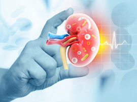 Nephrologist & Transplant Physician in Nagpur